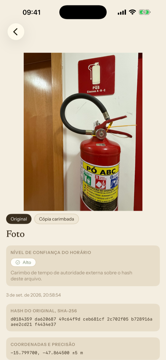 Um registro com o resumo, as coordenadas e o carimbo.